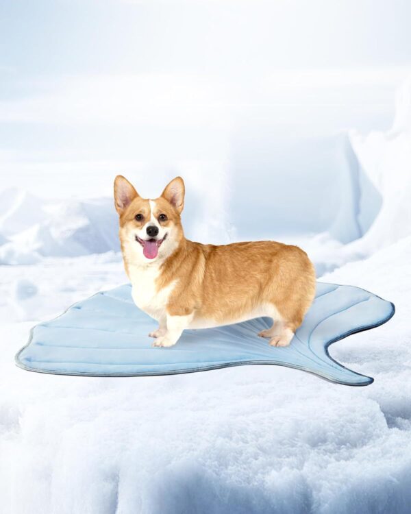 Leaf-Shaped Cooling Pet Mat - Eco-Friendly Dog & Cat Cooling Pad, Portable, Machine Washable for Beds, Crates, Outdoors - Durable & Non-Slip - 图片 7
