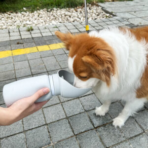 Portable Dog Water Bottle Leak Proof - Collapsible Travel Bowl for Summer Outdoor Walking, Hiking & Travel