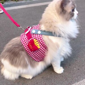 Summer French Fries Sunflower Pet Harness Leash Set - Adjustable Vest-Style for Dogs Cats Outdoor Walking