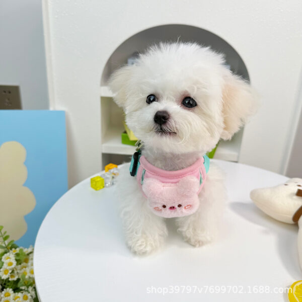 Summer Dog Cat Harness Vest with 3D Plush Toy, Adjustable Reflective Pet Lead, Free Leash Included - Wholesale Bulk Pack - 图片 6