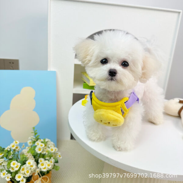 Summer Dog Cat Harness Vest with 3D Plush Toy, Adjustable Reflective Pet Lead, Free Leash Included - Wholesale Bulk Pack - 图片 5